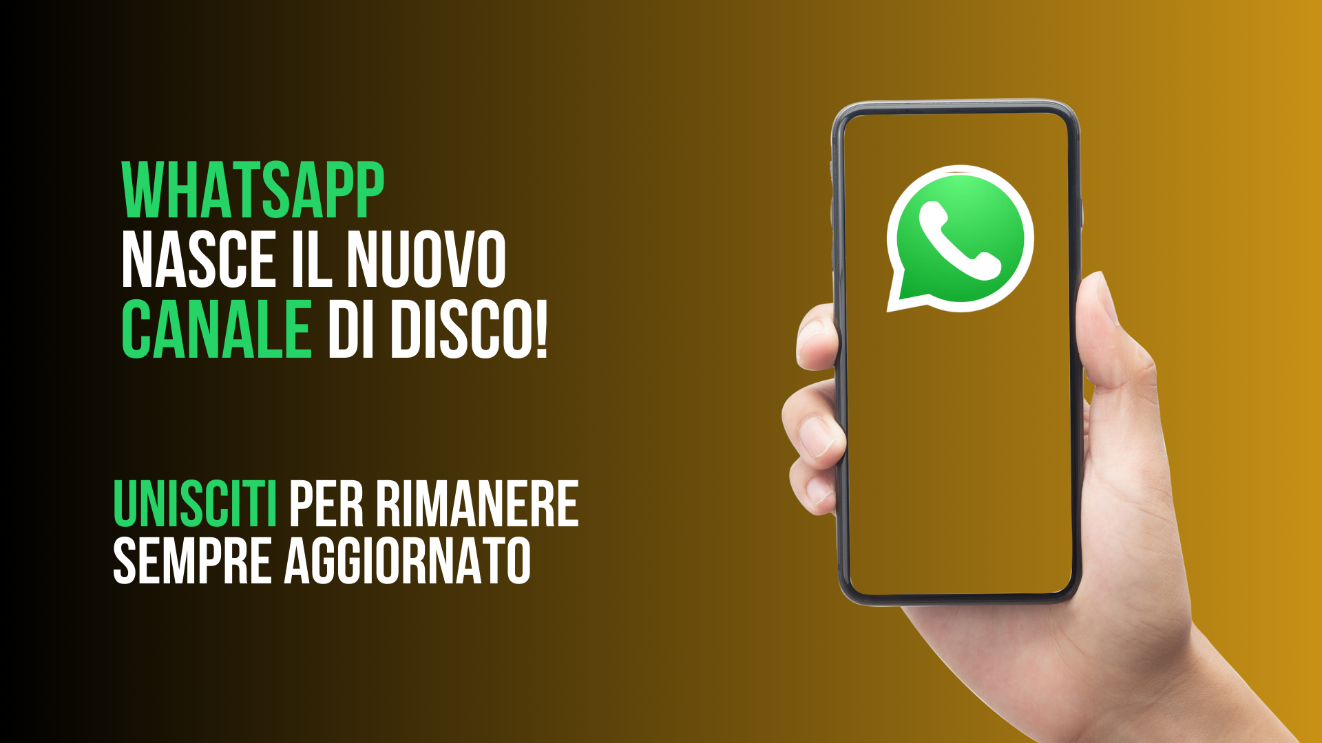 illustrazione - whatsapp nasce il nuovo canale di DISCO - unisciti per imanere informato